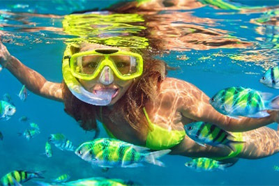 Snorkeling Tour near Al Areen Palace & Spa in Bahrain